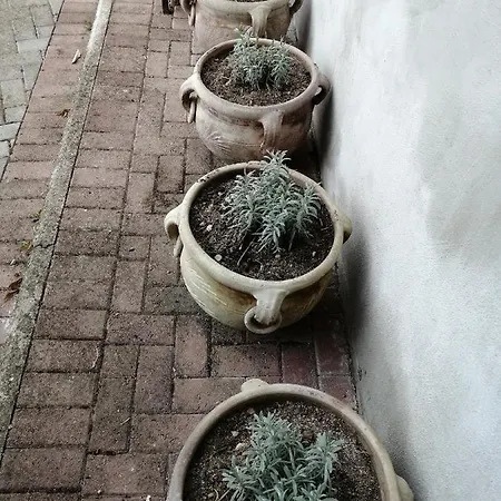 Lavanda 度假居 斯波莱托